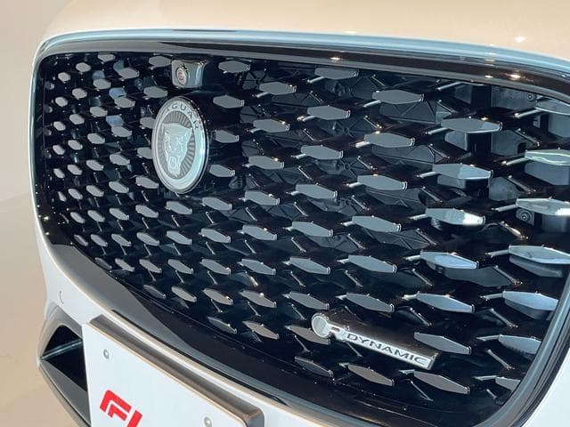Jaguar F-PACE R-Dynamic SE D200 Goo-net stock photo 10