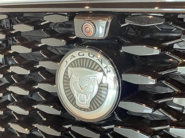 Jaguar F-PACE R-Dynamic SE D200 Goo-net stock photo 11