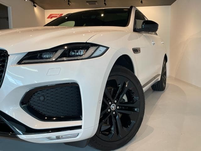 Jaguar F-PACE R-Dynamic SE D200 Goo-net stock photo 13