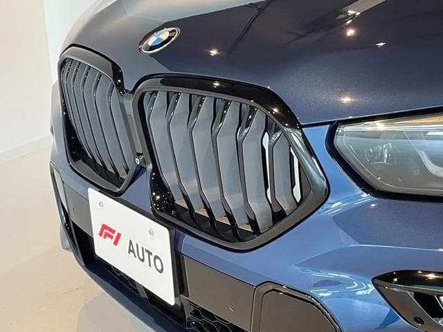 BMW X6 xDrive35d M Sport Plus Package Goo-net stock photo 05